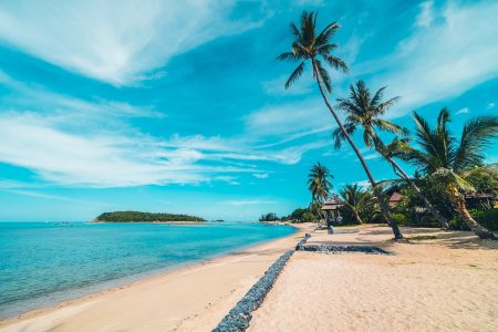 Best Of Goa ( 5 Days)
