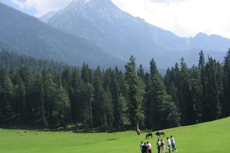 Srinagar Honeymoon Package ( 9 Days)