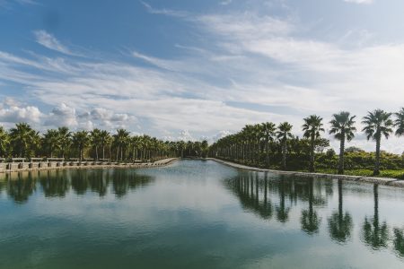 BagDogra Departures ( 6 Days)