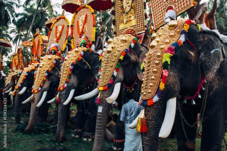 Kerala Honeymoon package ( 6 Days)