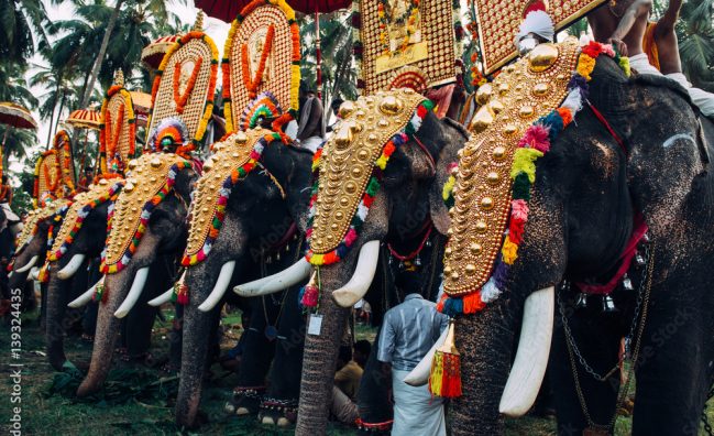 Kerala Backwaters tour ( 5 Days)