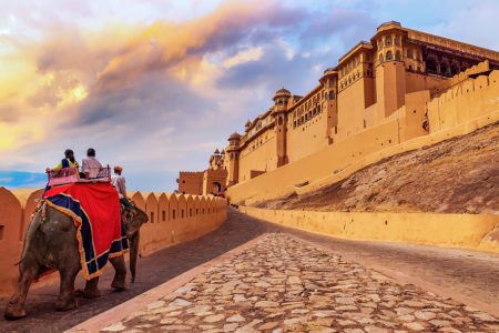 Rajasthan Wildlife Tour ( 15 Days)